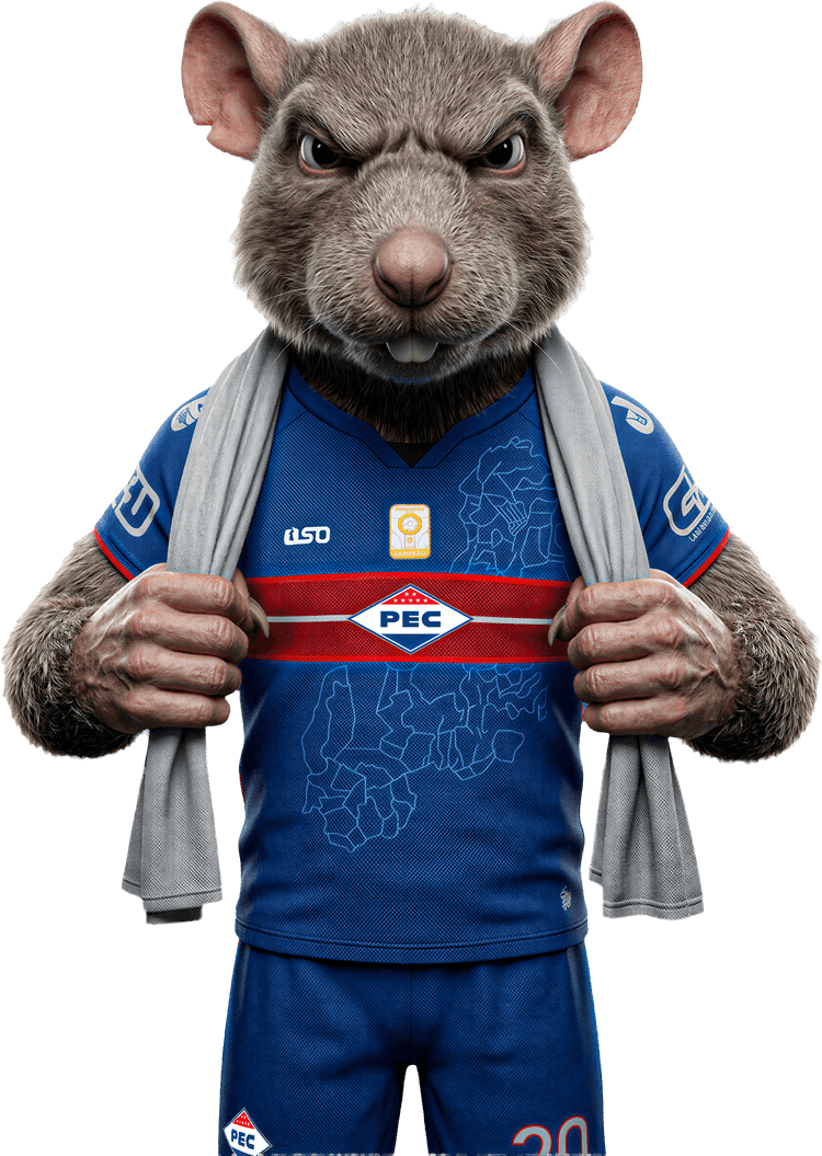 Escudo Piauí Esporte Clube